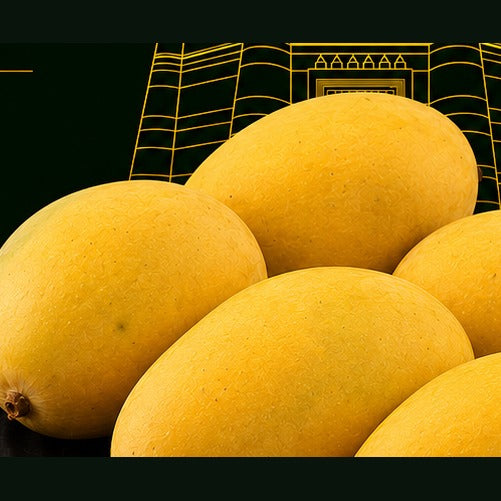 Black Chaunsa Mango — The Rare Premium Cultivar