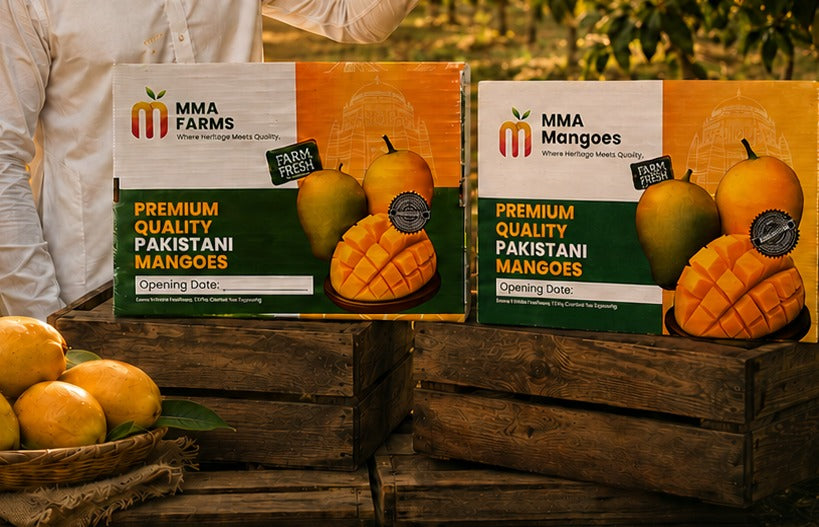 Branded MMA Farms and MMA Mangoes premium mango gift boxes — customisable with your company logo and sleeve