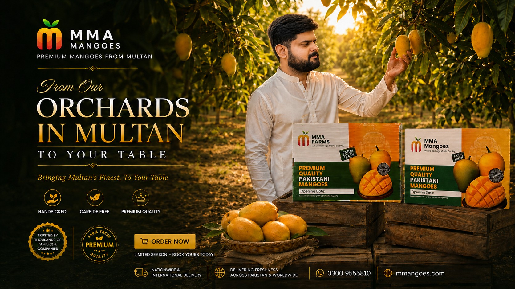 MMA Mangoes — from our orchards in Multan to your table. Handpicked, carbide-free premium Pakistani mangoes, packed in MMA Farms boxes. Order now.